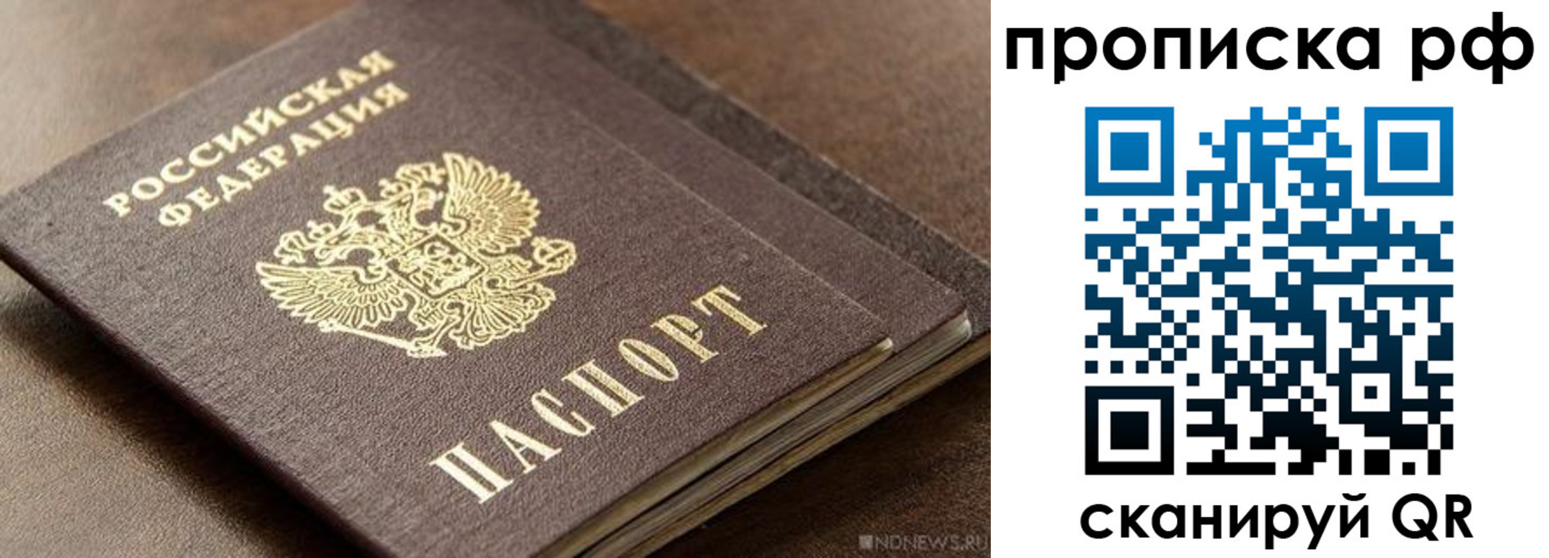 временная регистрация гарантия в Светлогорске